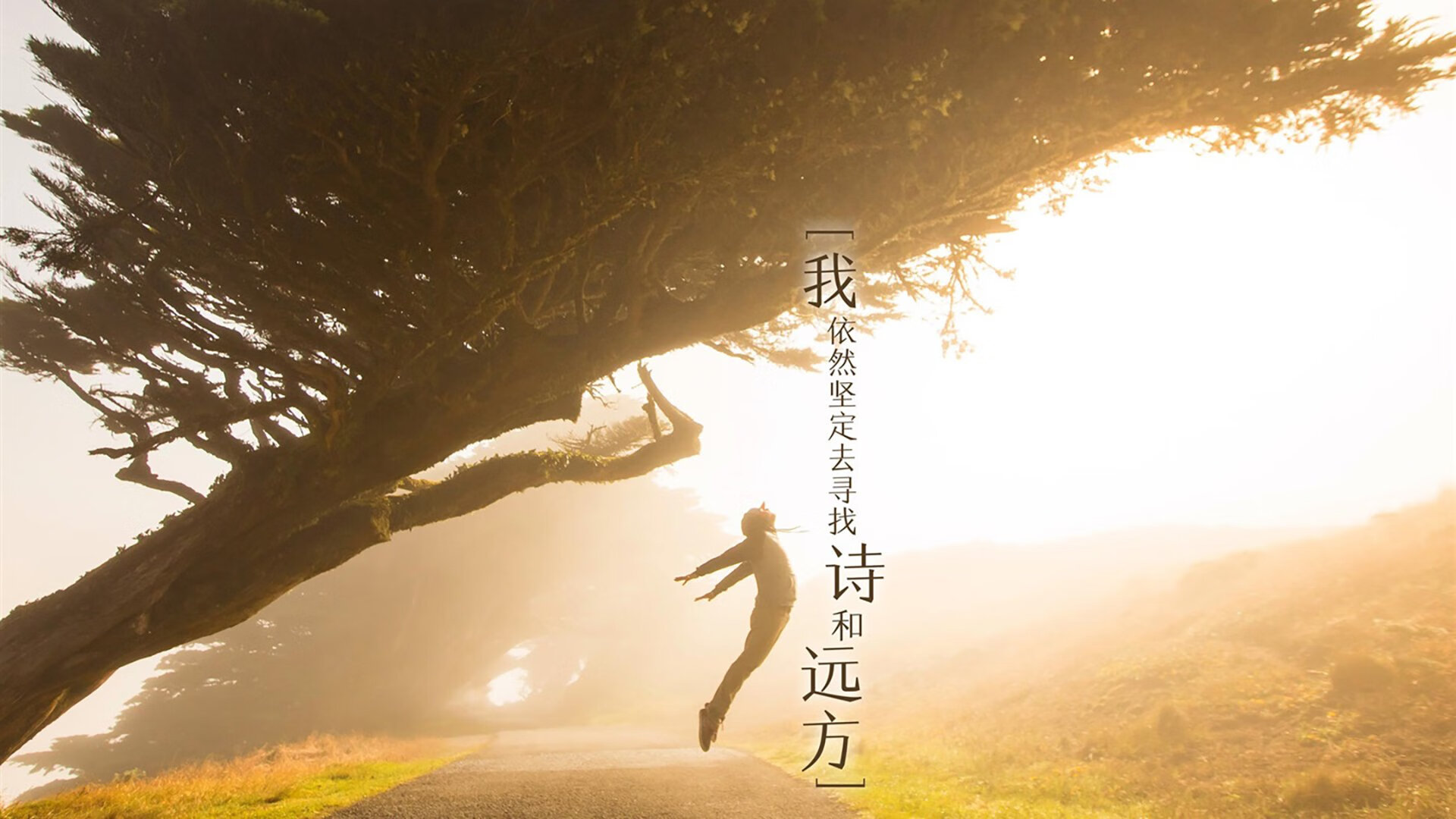 法甲球员视觉-认知训练对战术执行延迟反应的缓解效果