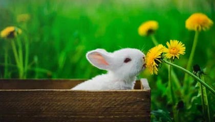 开云网址入口-瑞典队出色发挥：2024混合团体世界杯赛程回顾，瑞典参加世界杯