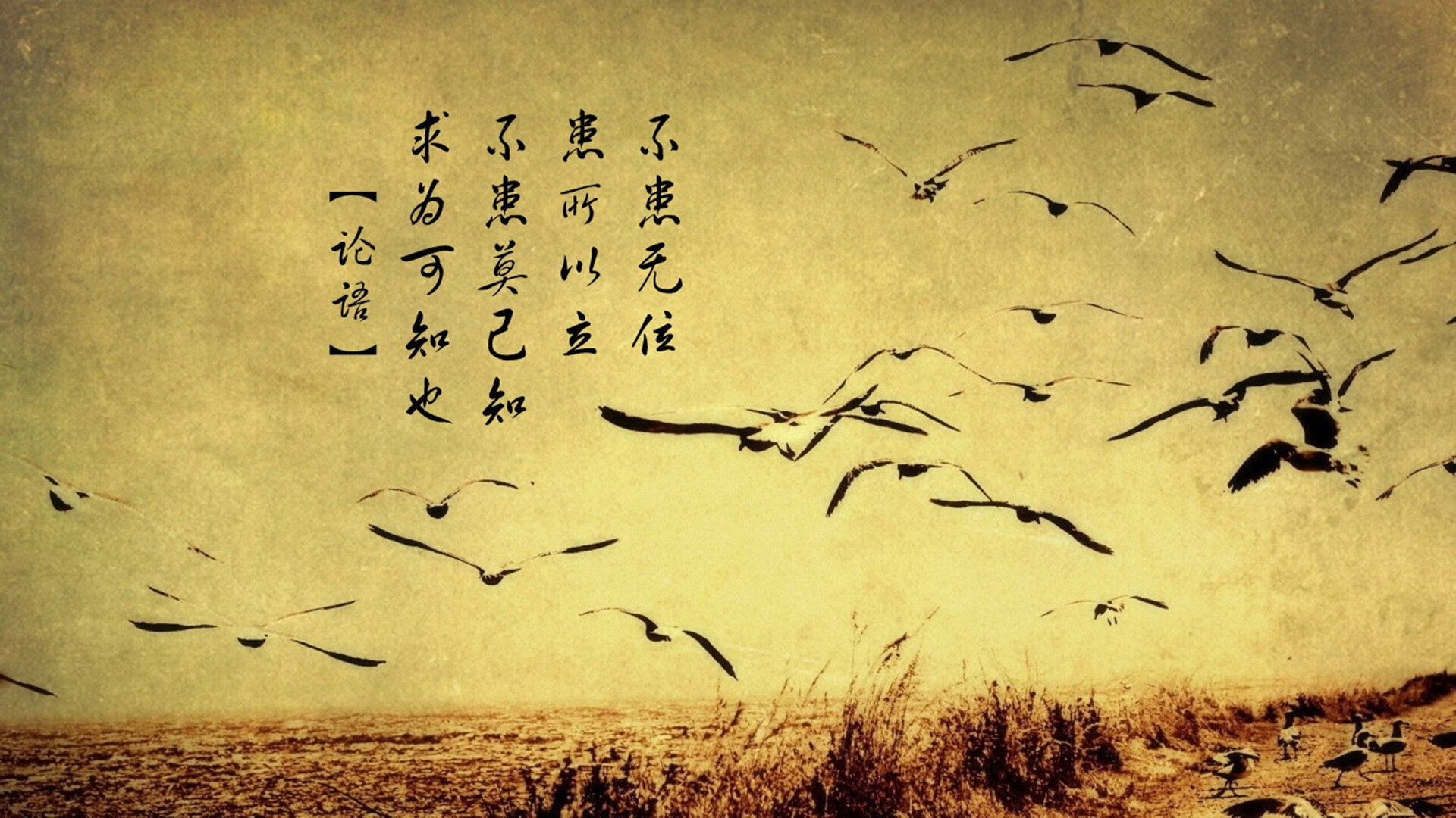 开云体育俱乐部官网-Juve晋级希望虽大，但夺冠概率仅3.6%，jtop冠军精选