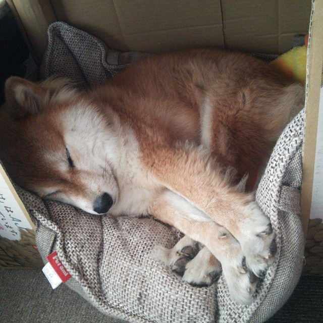 开云体育在线登入-“萨尔·巴赫：南非羚羊队的下一个传奇”