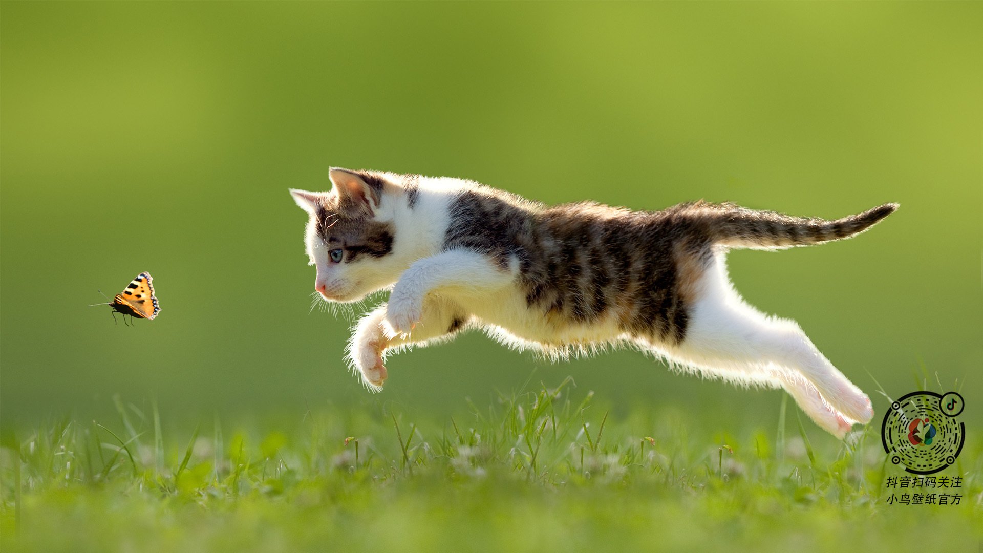 kaiyun.com-世界杯激情不断：每场都精彩绝伦！，世界杯激动人心时刻